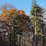 Photo n°2 de l'avis de Roberta.a fait le 07/11/2021 à 11:27 sur le  Il rifugio à Calizzano