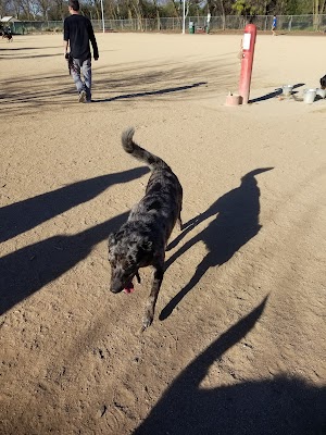 DeGarmo Park - photo 35