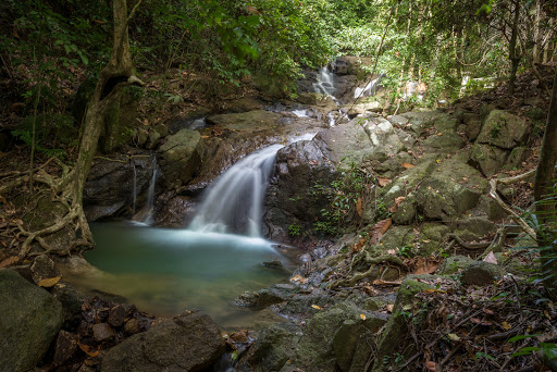 Camping to live all year in Phuket