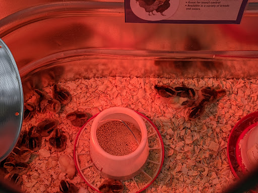 Home Improvement Store «Tractor Supply Co.», reviews and photos, 79 Red Hill Rd, Newport, PA 17074, USA