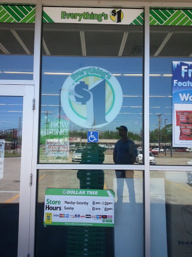 Dollar Store «Dollar Tree», reviews and photos, 1022 Mineral Wells Ave, Paris, TN 38242, USA