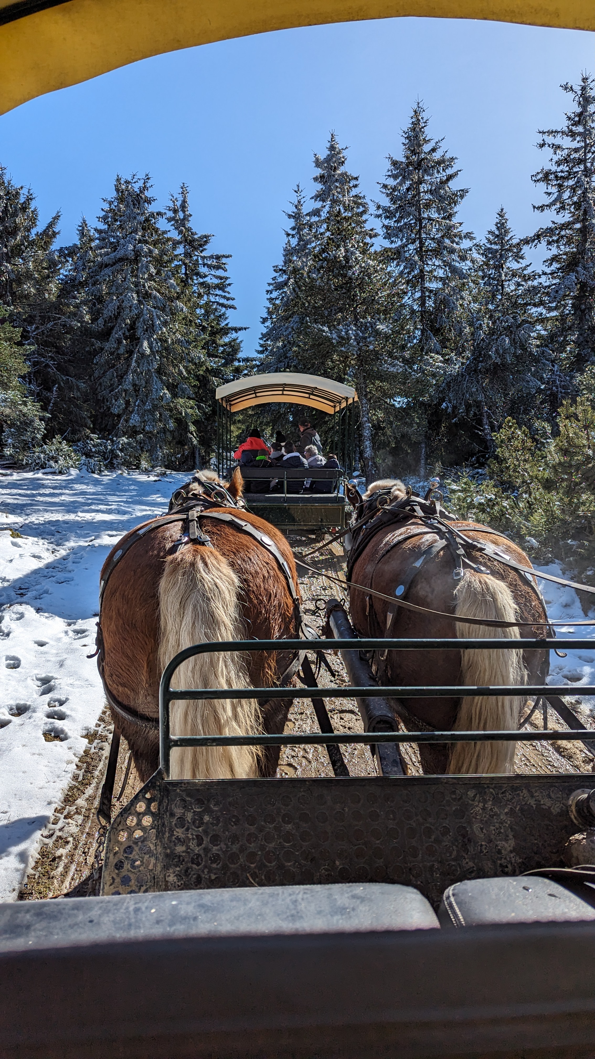 Photo n° 3 de l'avis de Gibey.r fait le 10/03/2024 à 09:09