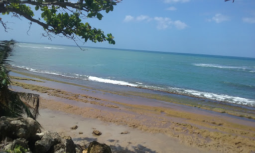 Park «South Mountain Park», reviews and photos, 10919 S Central Ave, Phoenix, AZ 85042, USA