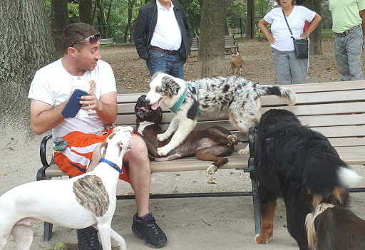 Dog Park «Brookdale Dog Park», reviews and photos, W Circuit Dr, Montclair, NJ 07043, USA