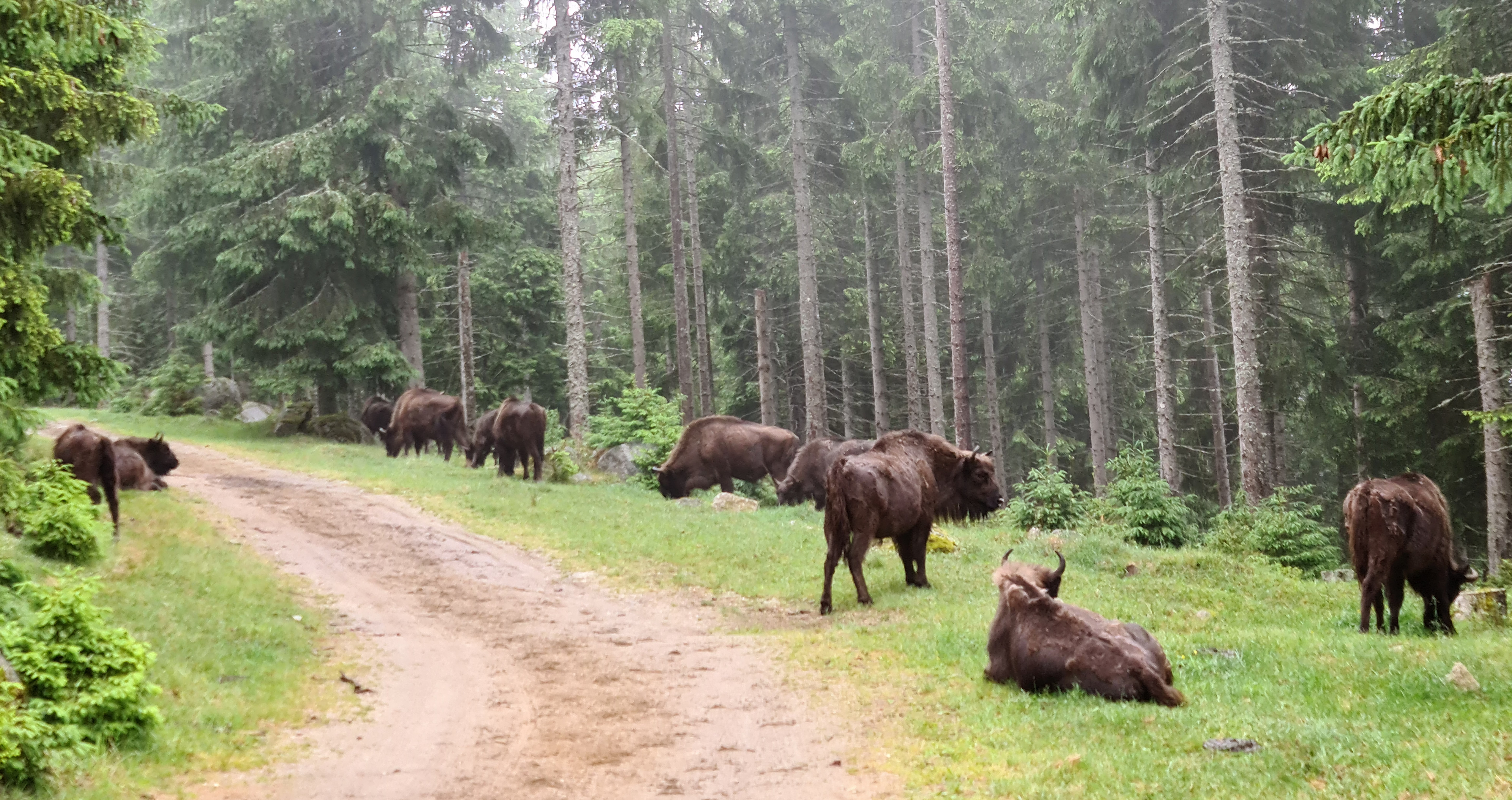 Photo n° 1 de l'avis de Magali.i fait le 12/06/2022 à 04:52