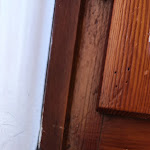 Photo n°4 de l'avis de Andrea.o fait le 06/10/2023 à 06:54 sur le  Albergo Ristorante al Cavallino Bianco à Tricesimo