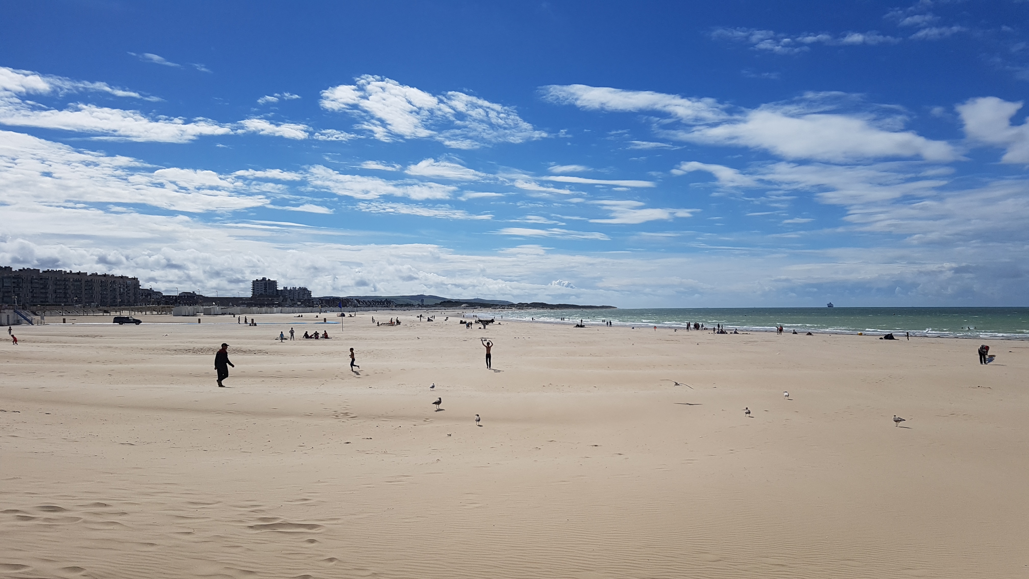 Photo n° 1 de l'avis de Brig.E fait le 24/08/2020 à 14:12