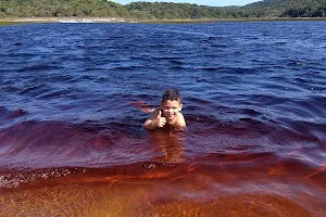 Lagoa Araraquara image