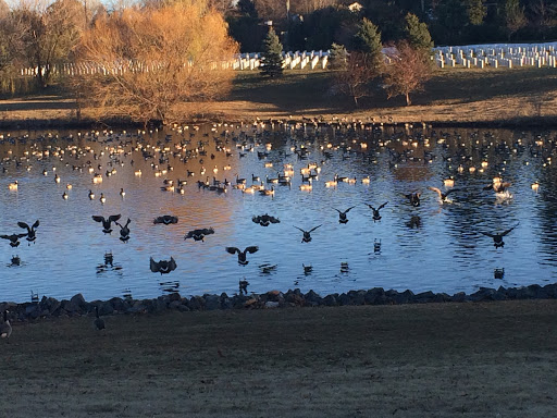 Country Club «Pinehurst Country Club», reviews and photos, 6255 W Quincy Ave, Denver, CO 80235, USA