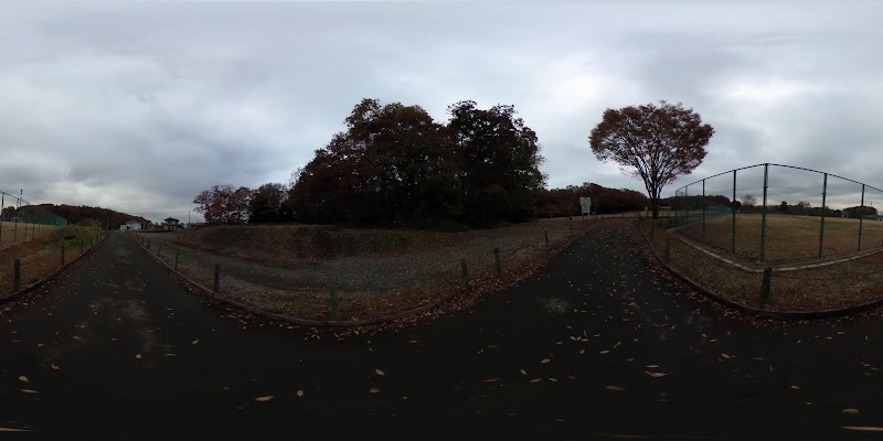 所沢カルチャーパーク 埼玉県所沢市下新井 公園 グルコミ