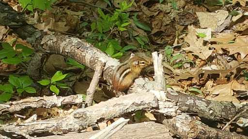 Nature Preserve «Flat Rock Brook Nature Center», reviews and photos, 443 Van Nostrand Ave, Englewood, NJ 07631, USA