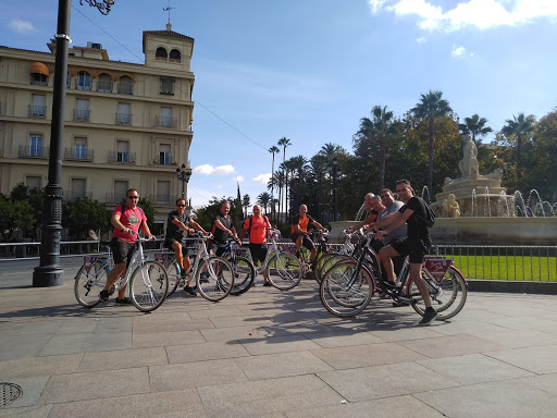 BUNNY BIKE PUERTA JEREZ · Fietsen Huren · Noleggio biciclette & Tours · Consigna de equipaje