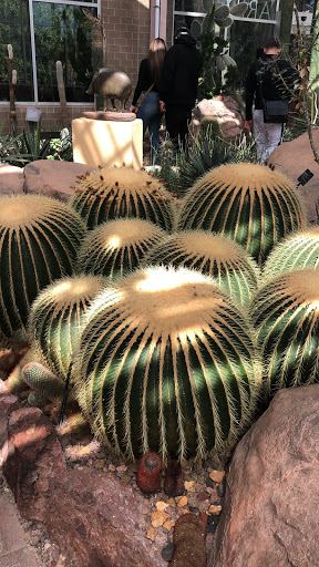 Gift Shop «Meijer Gardens Gift Shop», reviews and photos, 1000 E Beltline Ave NE, Grand Rapids, MI 49525, USA