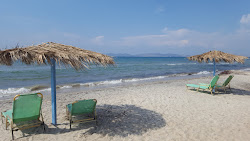Troulos beach'in fotoğrafı doğal alan içinde bulunmaktadır