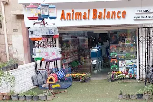 Animal Balance image
