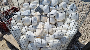 Photo n°7 de Imagin Garden à Robion ()