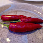 Photo n°8 de l'avis de Andrea.o fait le 16/06/2022 à 15:19 sur le  La Bussola Hotel à Capo Vaticano