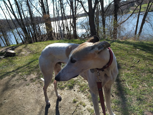 Golf Course «Fairway Hills Golf Course», reviews and photos, 5100 Columbia Rd, Columbia, MD 21044, USA