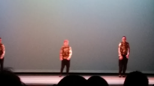 Performing Arts Theater «The Schwartz Center for the Arts», reviews and photos, 226 S State St, Dover, DE 19901, USA