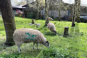 Wythenshawe Community Farm & Shop image