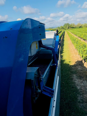Les vignobles Lumeau - producteur de vin à Sauveterre-de-Guyenne