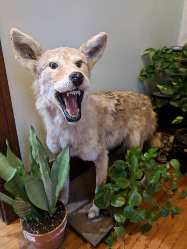 Tattoo Shop «Twisted Images», reviews and photos, 1225 Bardstown Rd, Louisville, KY 40204, USA