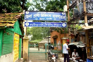 District Veterinary Hospital-Chinsurah Hooghly image