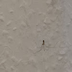 Photo n°6 de l'avis de Carsten.� fait le 12/07/2023 à 19:33 sur le  Wolterdinger Hof à Soltau