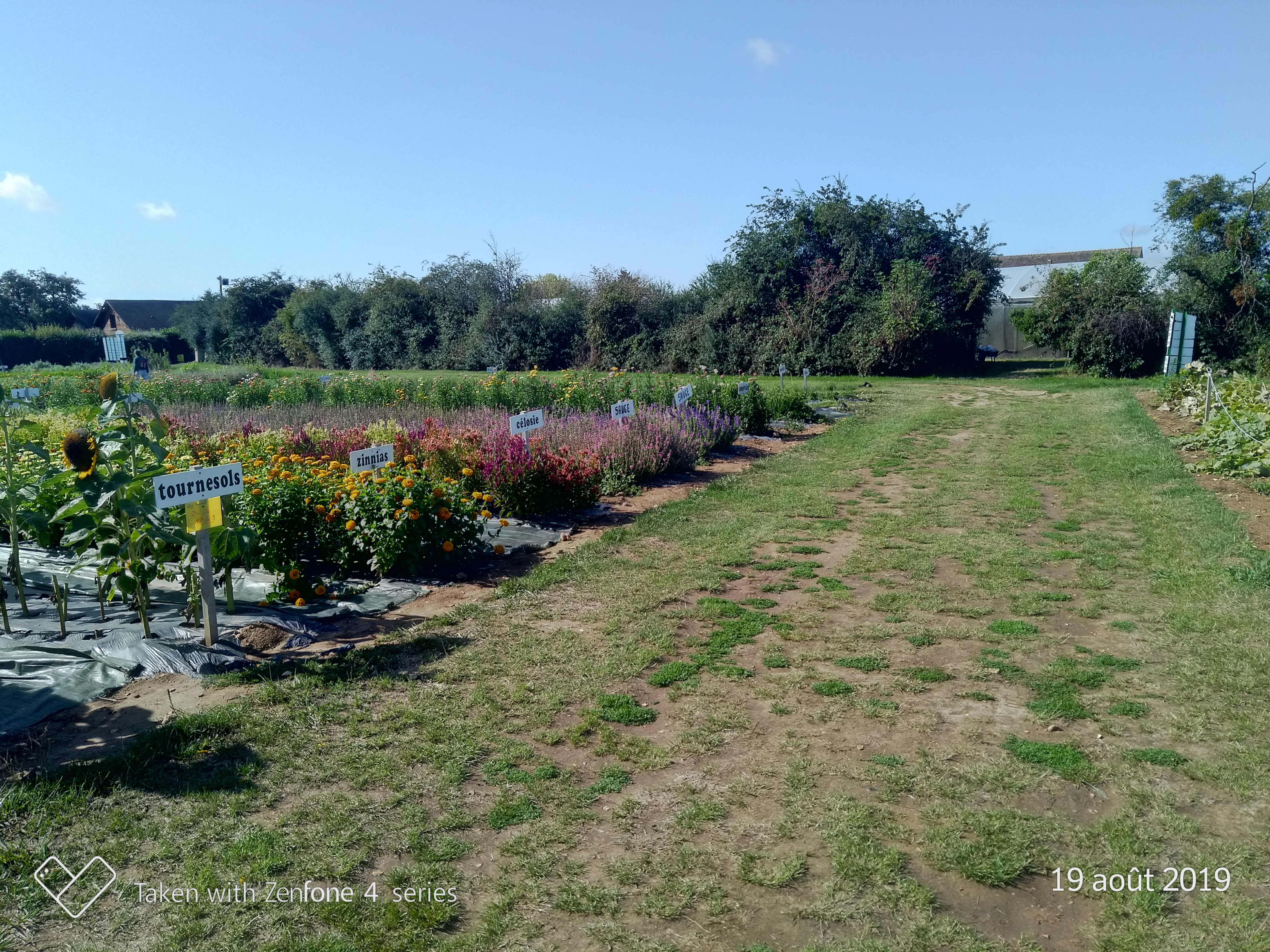 Photo n° 2 de l'avis de nad.n fait le 19/08/2019 à 10:56