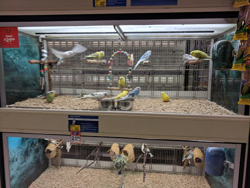 Pet Supply Store «PetSmart», reviews and photos, 1276 Bald Hill Rd, Warwick, RI 02886, USA