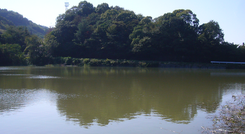 本谷池