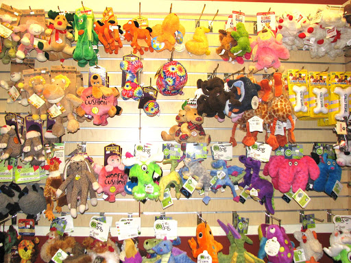 Florist «Petals & Paws», reviews and photos, 465 Albany Turnpike, Canton, CT 06019, USA