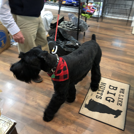 Pet Supply Store «Dog Style Canine Supply Company», reviews and photos, 2002 Judson Rd Suite 102, Longview, TX 75605, USA