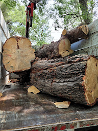 Photo n°4 de Saint Cannat Polo Club à Saint-Cannat ()