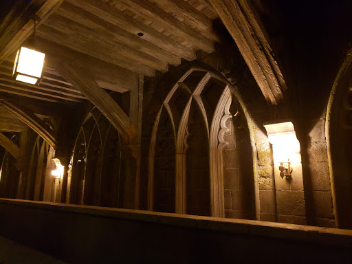 Roller Coaster «Dragon Challenge», reviews and photos, 6000 Universal Blvd, Orlando, FL 32819, USA