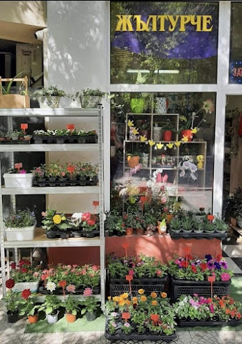 Отзиви за Магазин за цветя "Жълтурче" в Перник - Цветарница