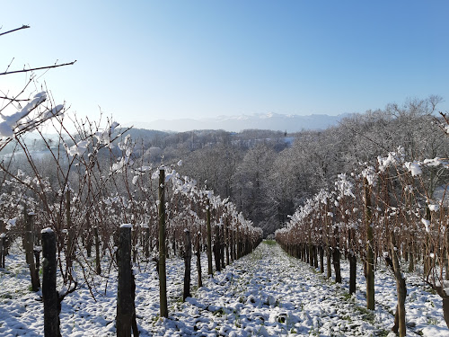 Domaine Tinou jurançon bio à Lasseube