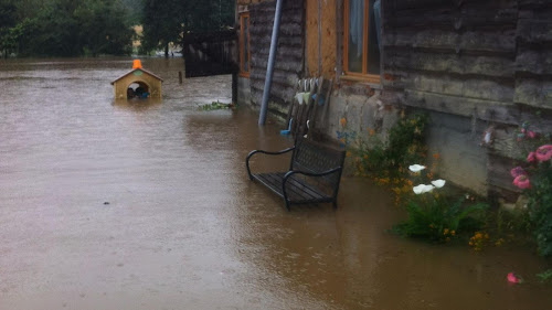 ODIAT Diagnostic Immobilier à La Ferté-en-Ouche