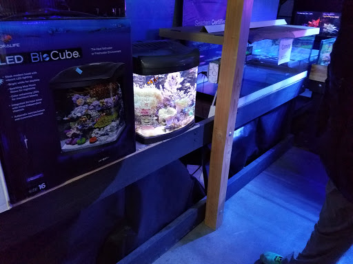 Tropical Fish Store «Elite Reef», reviews and photos, 8410 Wadsworth Blvd F, Arvada, CO 80003, USA