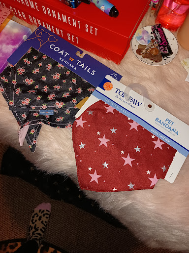 Pet Supply Store «PetSmart», reviews and photos, 3211 Peoples St, Johnson City, TN 37604, USA