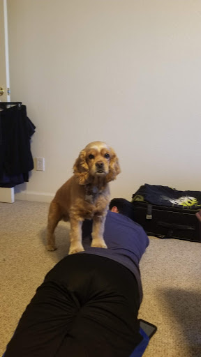 Pet Supply Store «Petco Animal Supplies», reviews and photos, 2687 Countryside Dr, Turlock, CA 95380, USA