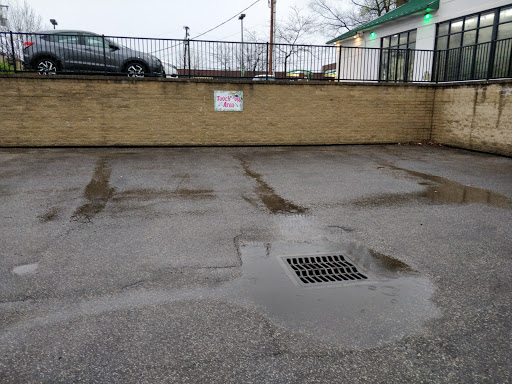 Car Wash «The Rainforest Car Wash», reviews and photos, 2888 Mayfield Rd, Cleveland Heights, OH 44118, USA