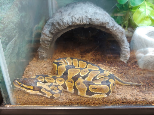 Pet Supply Store «Petco Animal Supplies», reviews and photos, 911 N Stratford Rd c, Moses Lake, WA 98837, USA