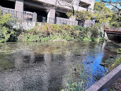 サーパス出水