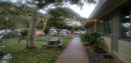German academies in Honolulu