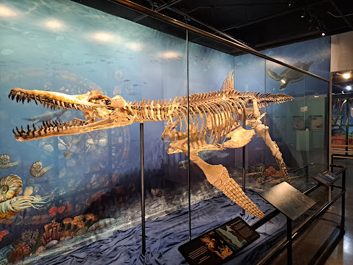 Heard Natural Science Museum & Wildlife Sanctuary