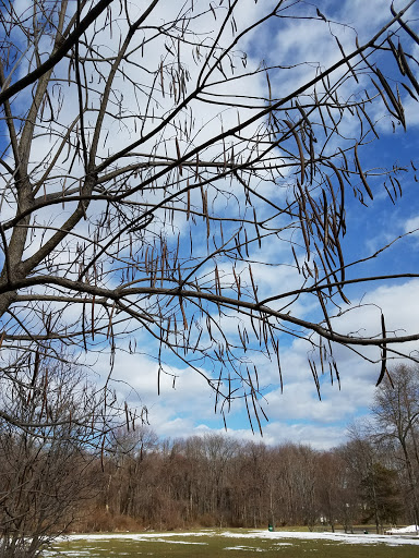 Park «Beech Woods Park», reviews and photos, 137 Beekman Rd, Kendall Park, NJ 08824, USA
