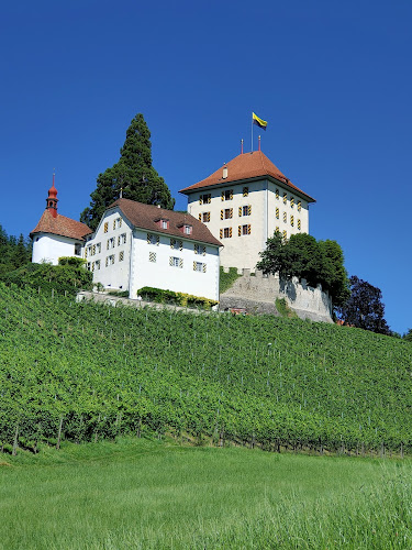 Schloss Heidegg - Sursee