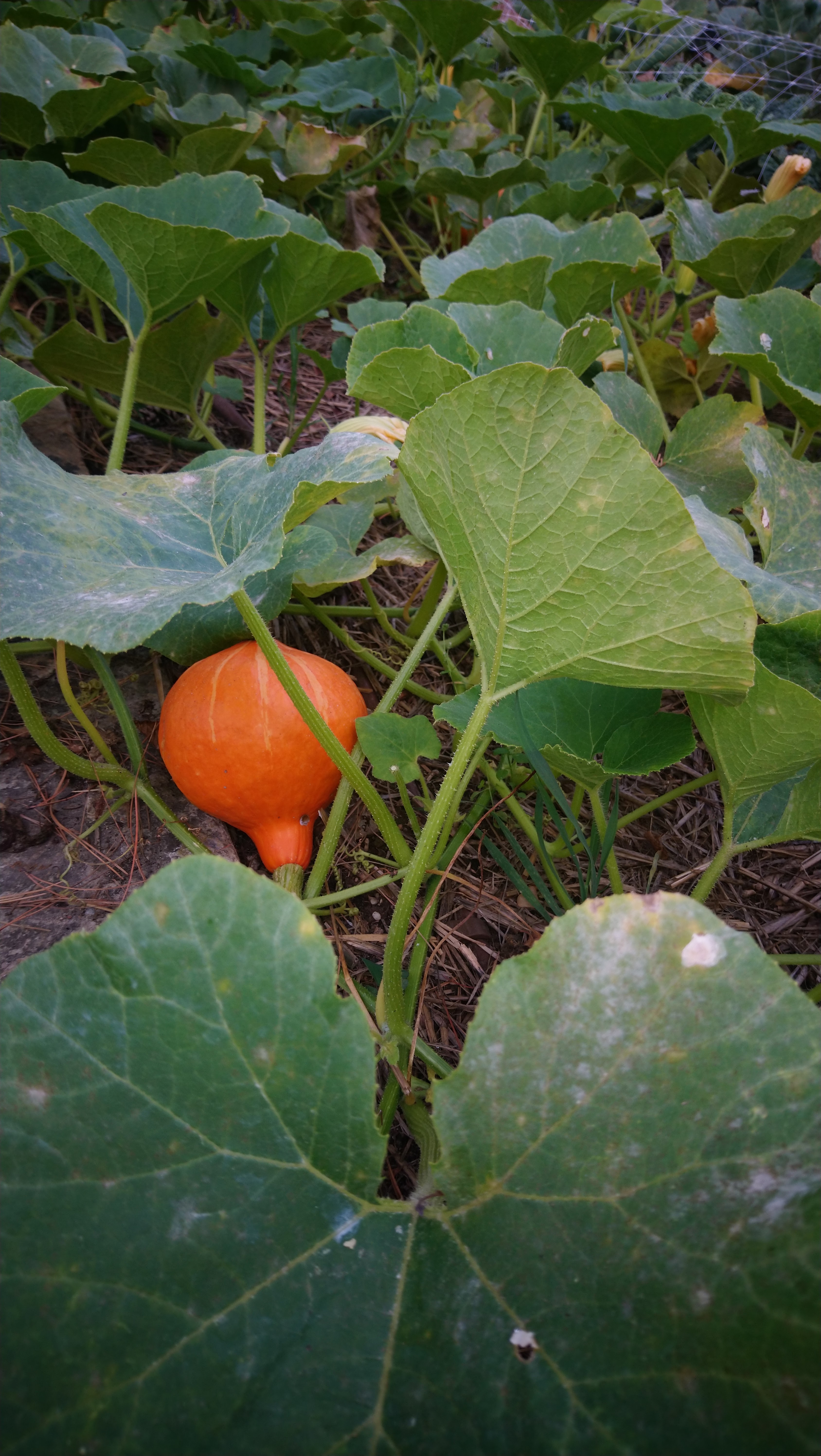 Photo n° 1 de l'avis de Valeria. fait le 12/08/2019 à 22:26
