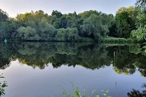 Fuldaschleuse Wolfsanger Nature Reserve image